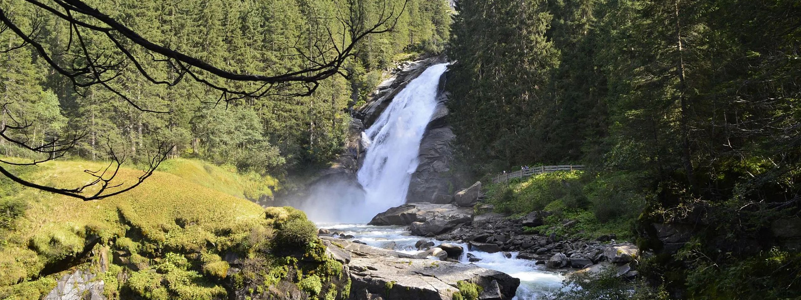 Ein Wasserfall in einem Wald mit üppigem Grün. Das Wasser stürzt über Felsen und fließt durch einen bewaldeten Bereich, umgeben von hohen Tannenbäumen.