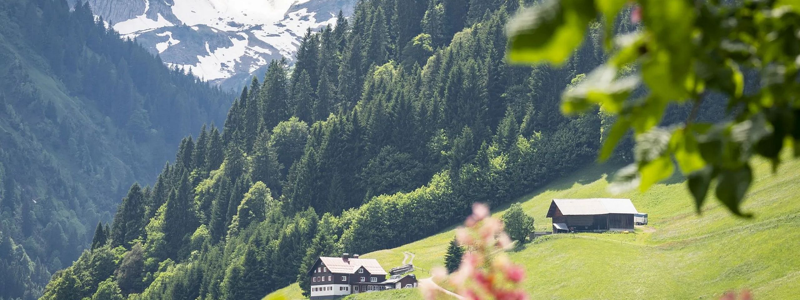 Malerische Berglandschaft mit zwei traditionellen Holzhäusern auf einer grünen Wiese, umgeben von dichten Tannenwäldern und schneebedeckten Bergen im Hintergrund.