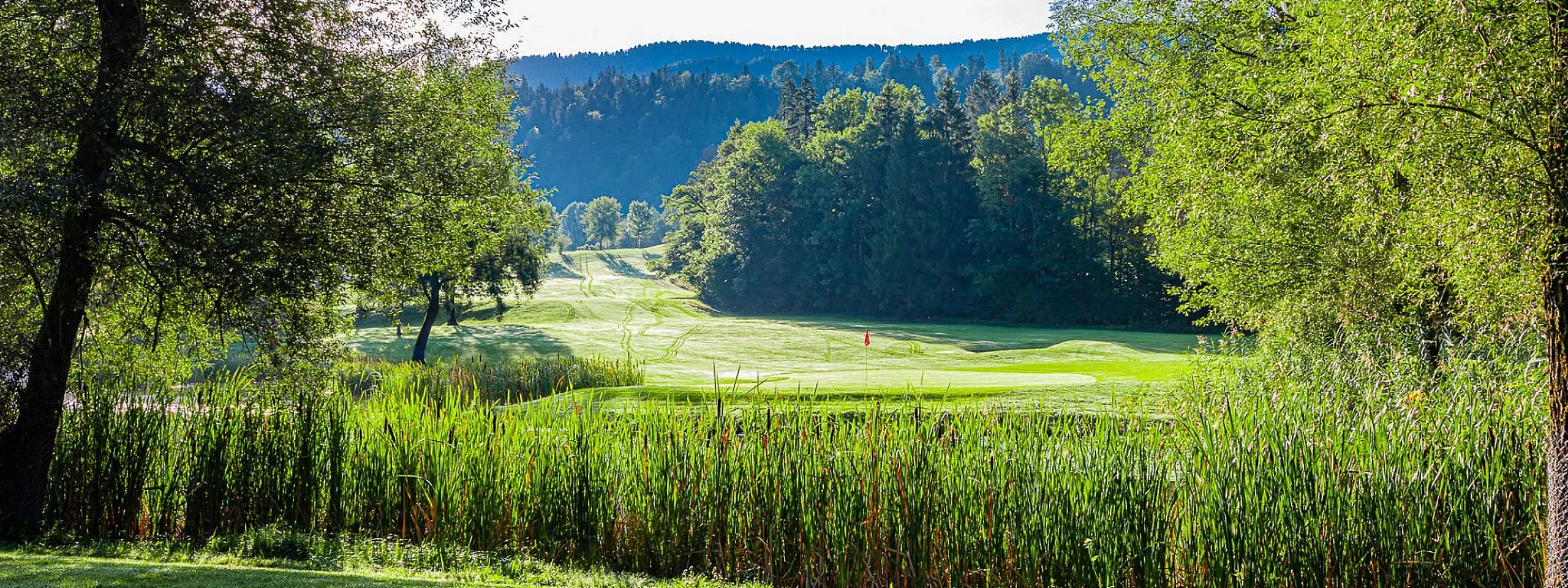 Grüne Landschaft mit einem Golfplatz im Vordergrund, umgeben von üppigen Bäumen und dichten Wäldern im Hintergrund unter einem klaren blauen Himmel.