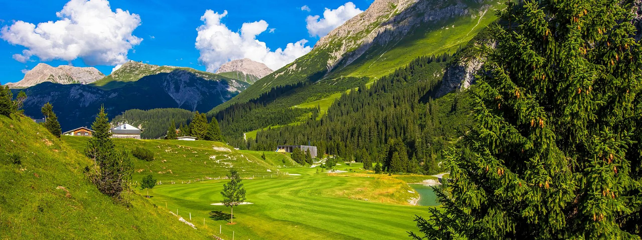 Grüne Berglandschaft mit saftigen Wiesen und Nadelbäumen, umgeben von hohen, felsigen Bergen unter einem klaren, blauen Himmel.