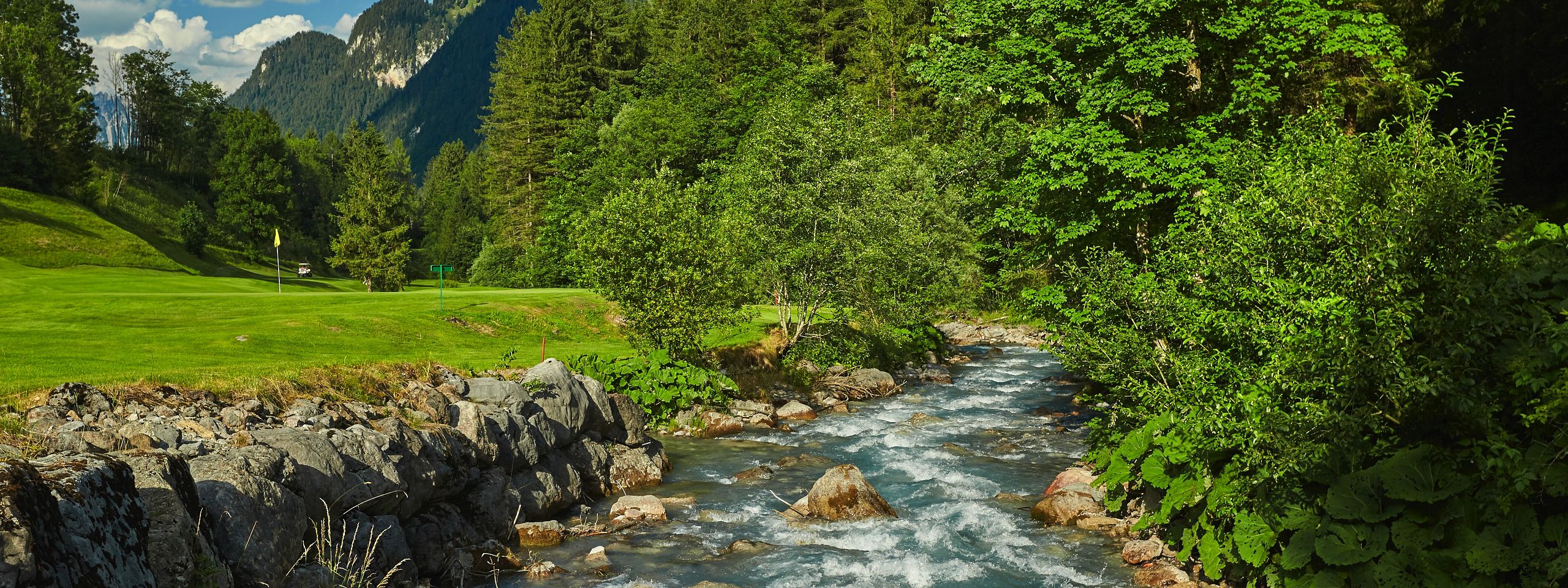 A clear stream flows through a green valley with trees and mountains under a blue sky.