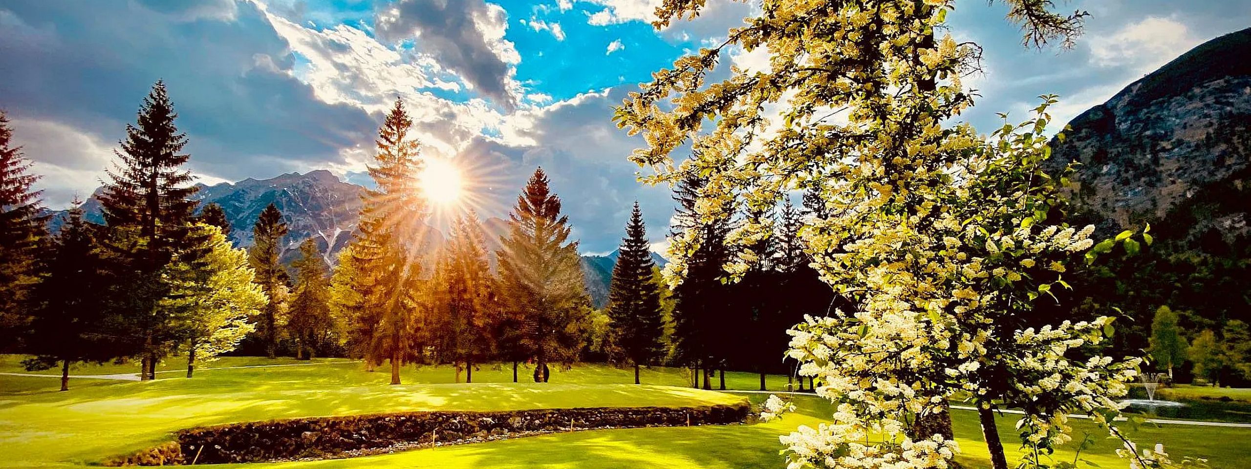 Ein idyllischer Park mit grünen Wiesen und hohen Kiefern. Die Sonne strahlt durch die Baumkronen, während der Himmel von Wolken und blauem Himmel bedeckt ist.