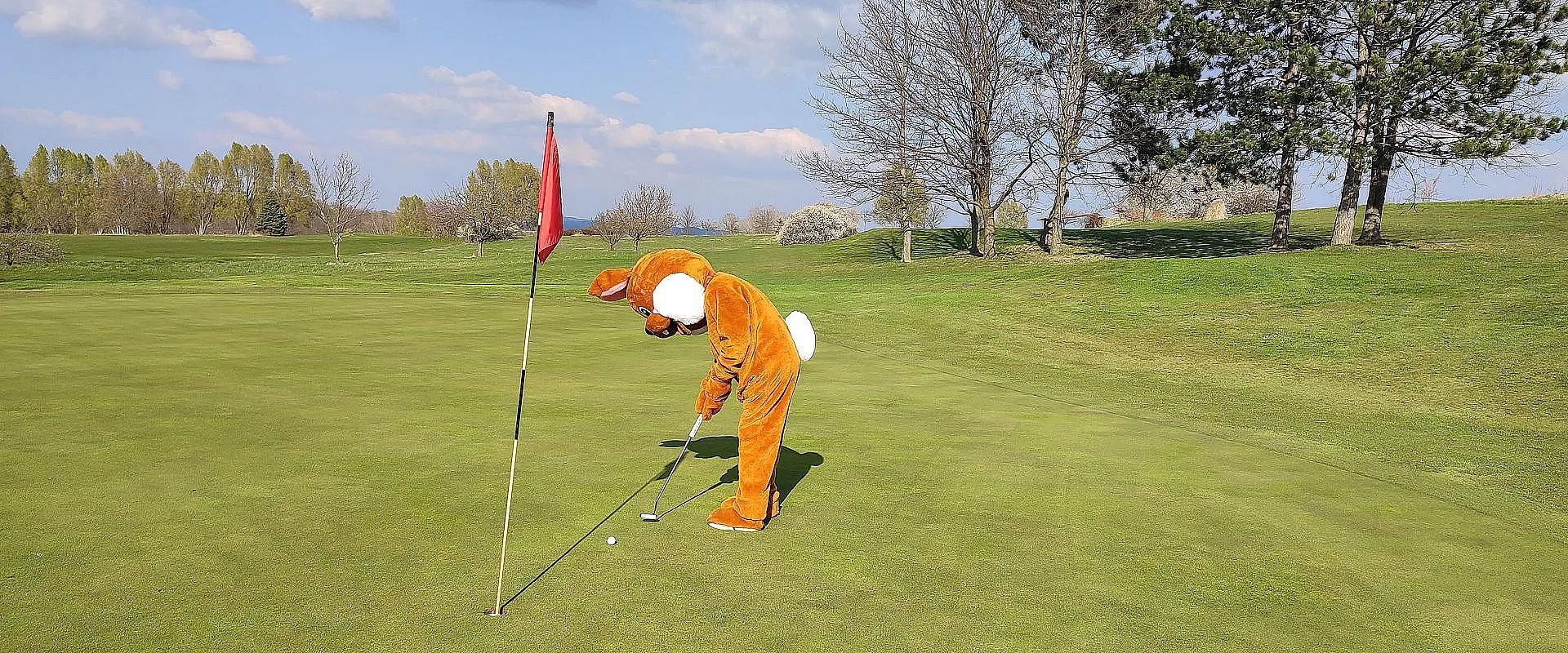 Eine Person in einem Bärenkostüm steht auf einem Golfplatz und versucht einen Ball einzulochen. Es ist ein sonniger Tag mit vereinzelten Wolken am Himmel.