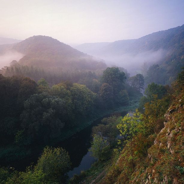 A misty valley scene with hills, dense forests, and a river on a foggy morning, creating a serene and tranquil setting with soft light and natural beauty.