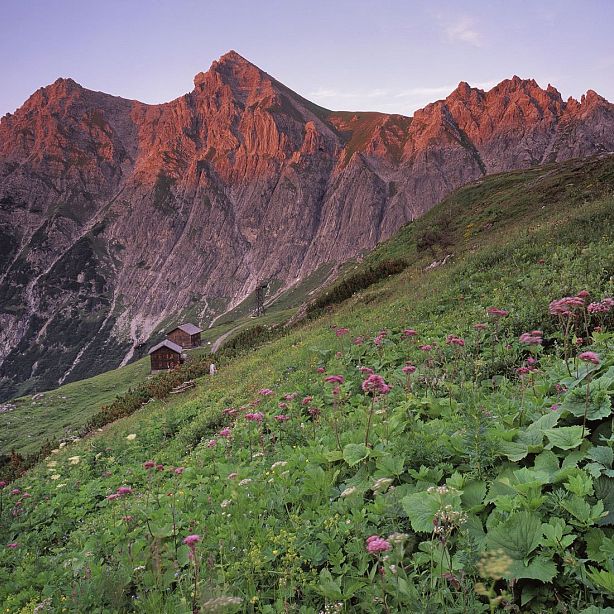 Mountain landscape with steep rocky slopes and a green meadow dotted with wildflowers at sunrise. Two small huts are nestled at the mountain's base.