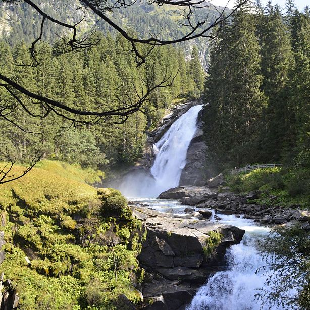 A waterfall flows down rocks amid a dense forest, with sunlight filtering through trees, creating a misty atmosphere. Greenery surrounds the flowing water.
