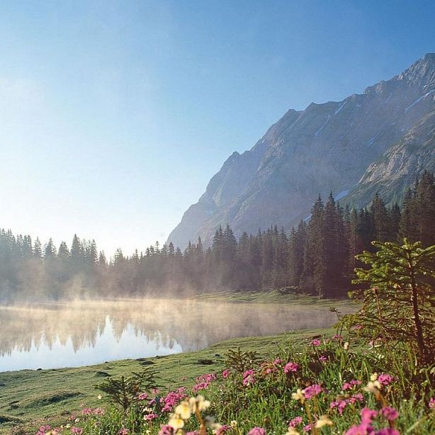Misty lake with surrounding pine trees and high mountains in the background under a clear blue sky. The scene exudes tranquility and natural beauty.