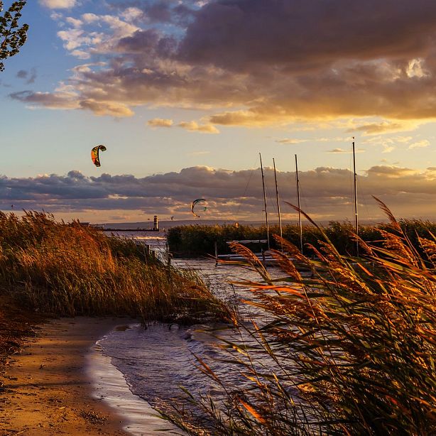 Kitesurfers ride waves during a vibrant sunset with dramatic clouds. Tall grasses line the shore, moving gently in the breeze.