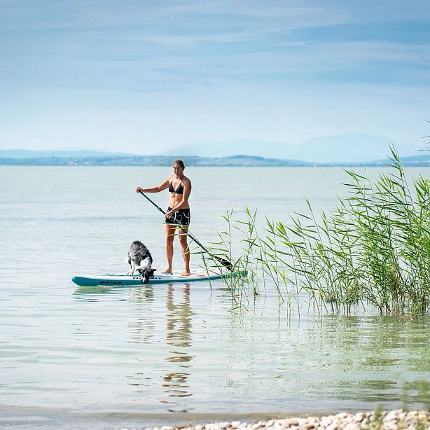 Woman on a paddleboard with her dog on a calm lake, surrounded by green plants, under a blue sky.