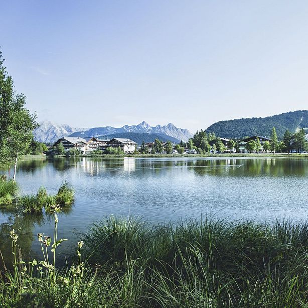 A calm lake with green grass and trees around it, mountains in the distance, and a clear blue sky overhead.
