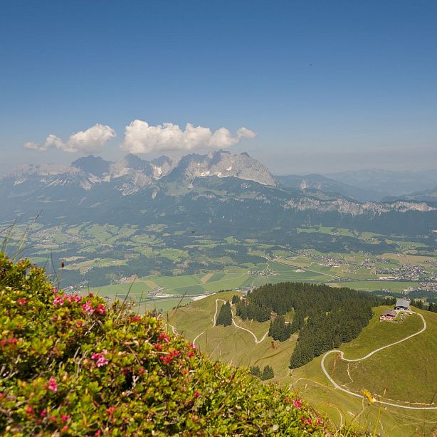 Panoramablick auf eine idyllische Landschaft mit Bergen, grünen Wiesen und einem klaren Himmel. Im Vordergrund bunte Blumen und ein gewundener Pfad.