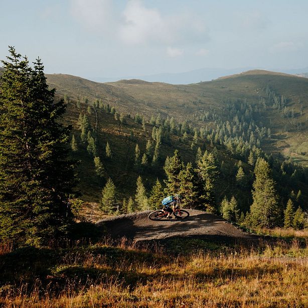 Mountain biker on a trail surrounded by green hills and pine trees under a clear blue sky.