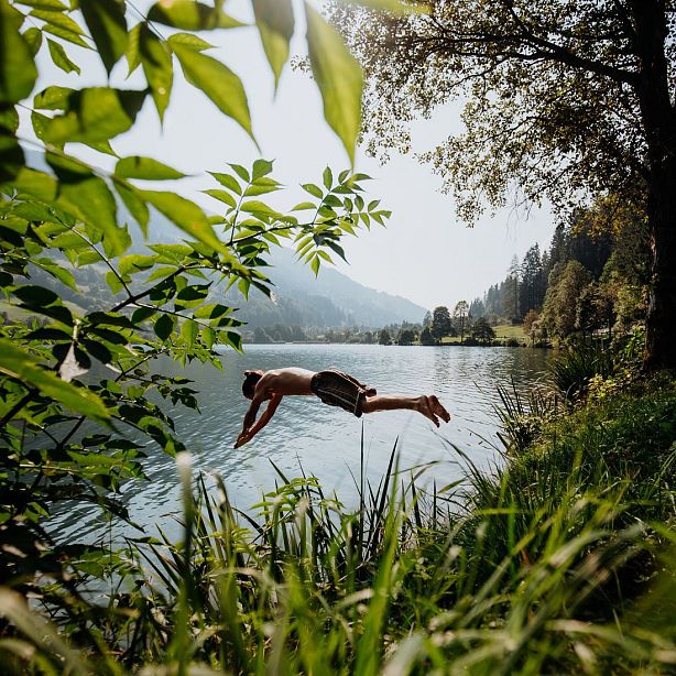 A person diving into a clear lake, surrounded by green plants and trees, with mountains in the background under a clear sky.