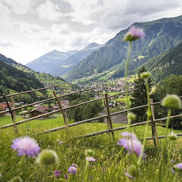 A mountain valley with a wooden fence and wildflowers in the foreground, overlooking a small town surrounded by lush green hills and distant peaks.