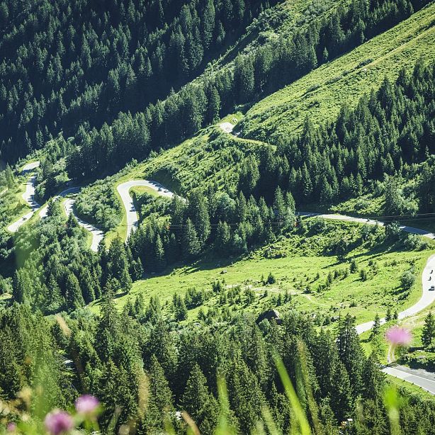 A winding mountain road intertwines through lush, green forested hills, creating a picturesque and natural landscape view.