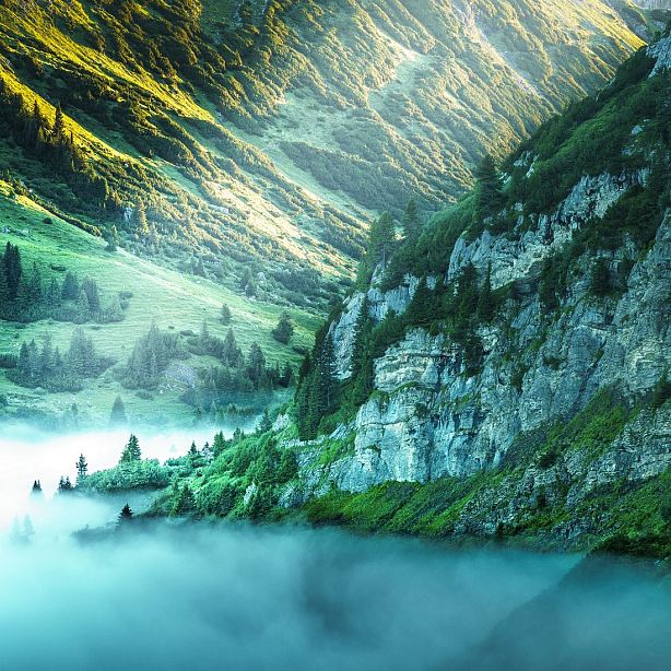 A scenic view of mist-covered green hills and rocky mountains, with scattered trees and soft daylight filtering through. The landscape appears serene and lush.