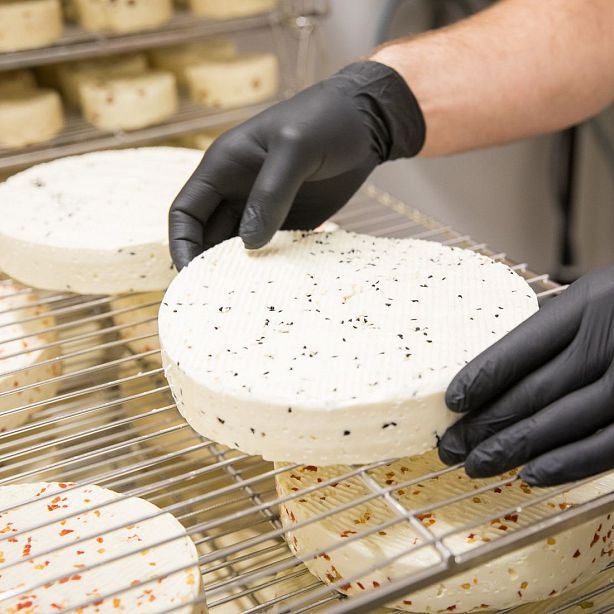 Hands in black gloves handling a round of white cheese with herbs on a metal rack, part of the cheese-making process in a dairy or artisan setting.