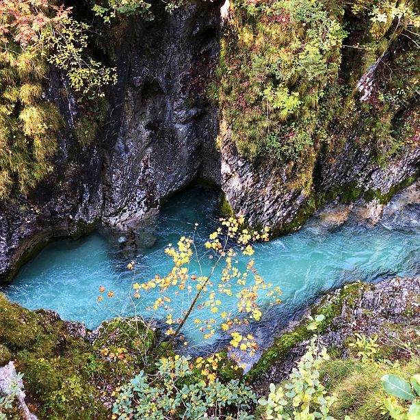 Turquoise stream flows between mossy, rocky cliffs in a narrow gorge, surrounded by autumnal plants and leaves.