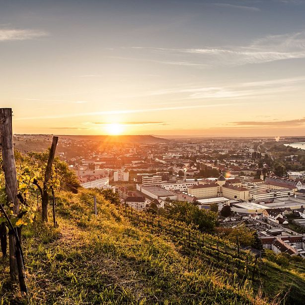 A scenic sunset over a vineyard with a city in the background, bathed in golden light. Lush grapevines in the foreground, blending nature with urban skyline.