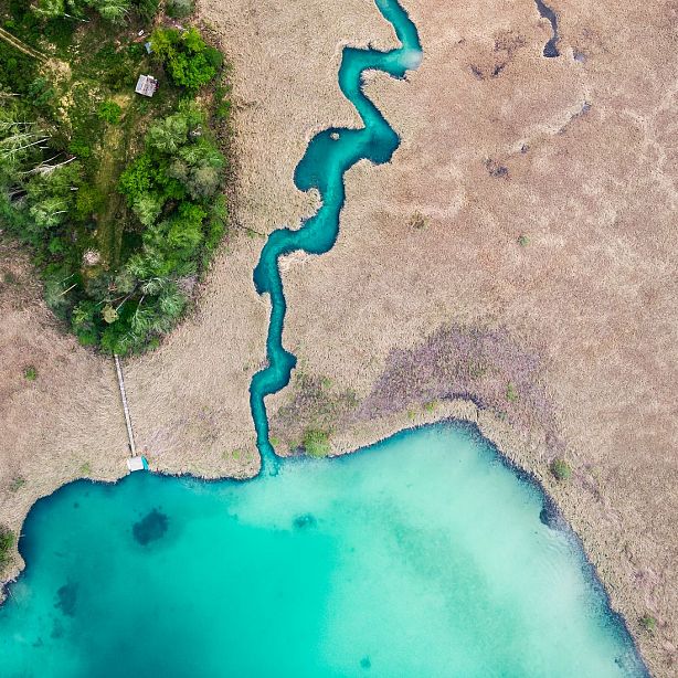 Aerial view of a winding turquoise river leading into a larger body of water, surrounded by greenery and brown reeds, creating a vivid, contrasting landscape.