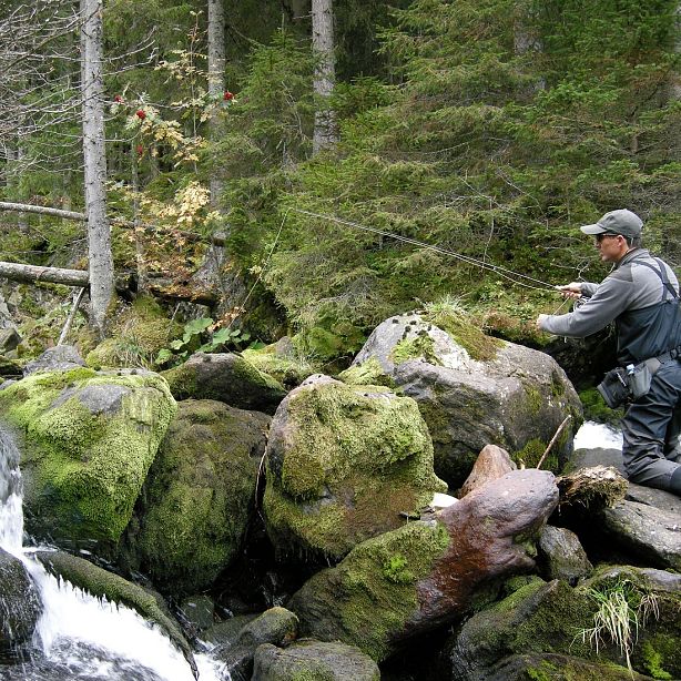 A man fishes in a forest stream, surrounded by moss-covered rocks and trees, wearing a dark outfit and cap.
