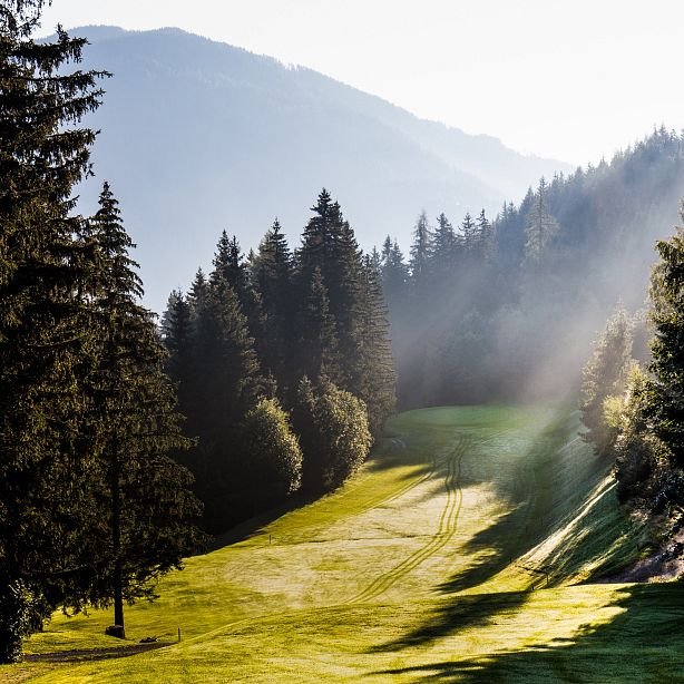 A sunlit forest pathway surrounded by tall evergreens, mist rising, and distant mountains in the background, creating a serene and tranquil scene.