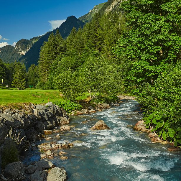 Ein klarer, sprudelnder Bergbach fließt durch eine grüne Landschaft, umgeben von dichten Bäumen und majestätischen Bergen unter einem klaren blauen Himmel.