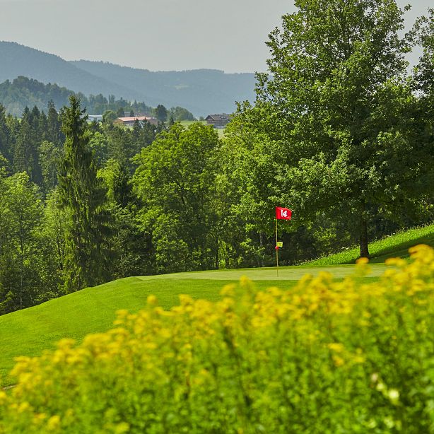 Grüne Golflandschaft mit einer roten Fahne auf einem Hügel. Im Vordergrund blühende gelbe Blumen und im Hintergrund bewaldete Hügel unter einem klaren Himmel.