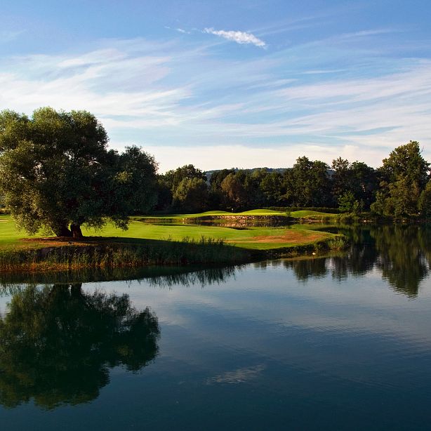 A tranquil lake scene with green grassy banks, a large tree reflecting in the water, and a clear blue sky with light clouds overhead.