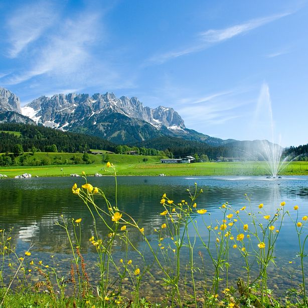 A serene landscape with a lake, wildflowers, green fields, and mountains under a blue sky. A fountain adds detail to the tranquil scene.