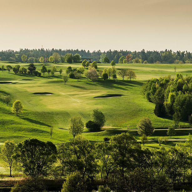 A lush green golf course with rolling hills, surrounded by dense trees and a clear sky. A tranquil and inviting landscape under soft light.