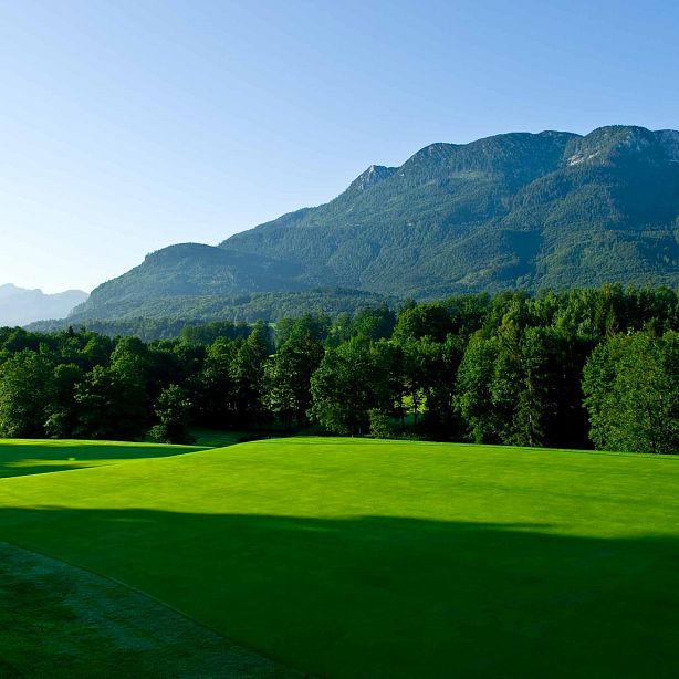 Green field and dense forest with mountains in the background under a clear blue sky.