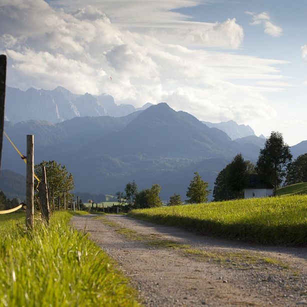 Ein malerischer Weg führt durch grüne Wiesen, umgeben von Bäumen, mit majestätischen Bergen im Hintergrund unter einem bewölkten Himmel.