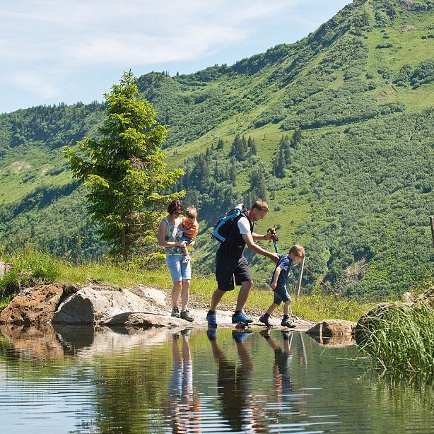 A family of four hiking by a mountain lake, surrounded by lush green hills, under a clear blue sky.
