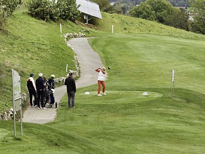 Golf players on a green course, one preparing to swing. Others stand nearby watching. Path and trees in the background enhance the lush scenery.