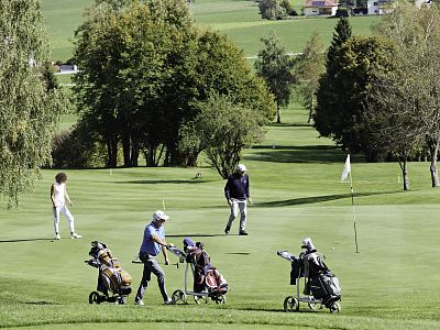 People playing golf on a green course with trees and a flag. Golf bags on trolleys are in view, under a clear sky.