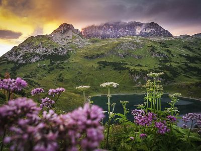 Vivid sunset over mountains, with purple wildflowers in foreground and orange, purple-tinged skies.