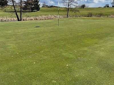 A golf course green with a flagstick, surrounded by trees and open landscape under a clear sky.
