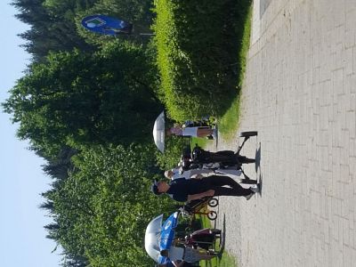People walking in a park area with trees around them, pushing strollers. It is a sunny day, which adds a cheerful ambiance to the scene.