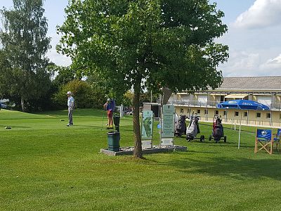 Golfers stand on a green course, preparing to play. A tree, building, and umbrellas are in the background, creating a serene scene.