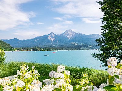A tranquil lake with mountains in the background, bordered by vibrant greenery and white flowers under a blue sky with scattered clouds.