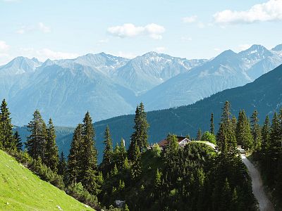 Majestic mountain range with green pine trees and a small pathway. The sky is clear and blue, creating a serene and picturesque natural scene.