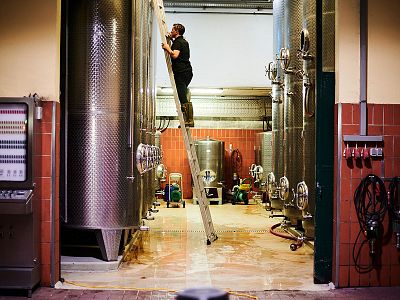 Person climbing a ladder to reach large stainless steel brewing tanks in an industrial setting, surrounded by various equipment and bright lighting.