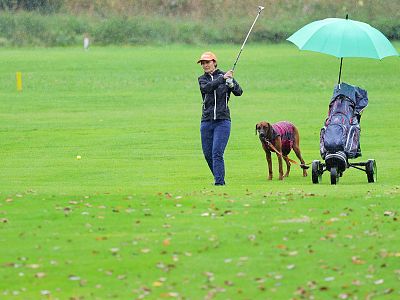 A golfer swings on a green course with a dog nearby. A trolley with an umbrella is in the background, surrounded by a serene field with scattered leaves.