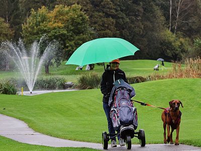 Person with green umbrella, dog, and golf cart walking on a golf course path. Fountain and trees in the background under overcast sky.