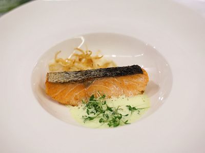 Plate with seared salmon fillet, crispy skin, fried onions, microgreens, and white sauce on a white dish.