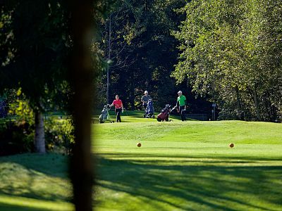 Golfers on a sunny, green course surrounded by trees, focusing on their game. The serene environment suggests a leisurely day outdoors.