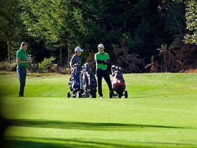 Four people on a sunny golf course with trees in the background, standing near their golf bags and trolleys.