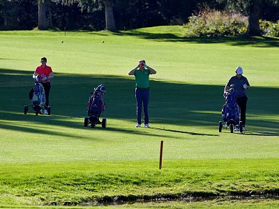 Four golfers on a green course, with trolleys holding golf bags beside them, under a clear blue sky with trees in the background.