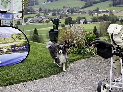 A dog walks on a path in a rural area with green hills and scattered houses in the background. A stroller and a colorful sign are nearby.